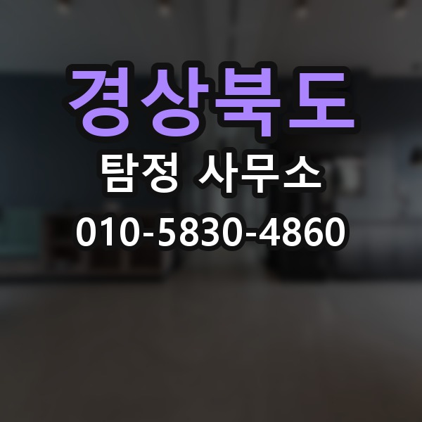 경상북도 탐정 사무소 후기에서 확인할 부분