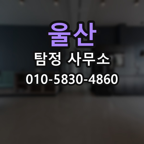 울산 탐정 사무소 서비스를 비교할 때 보는 요소