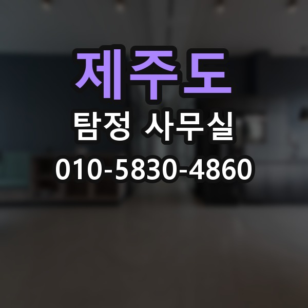 제주도 탐정 사무실 비용이 달라지는 주요 요소