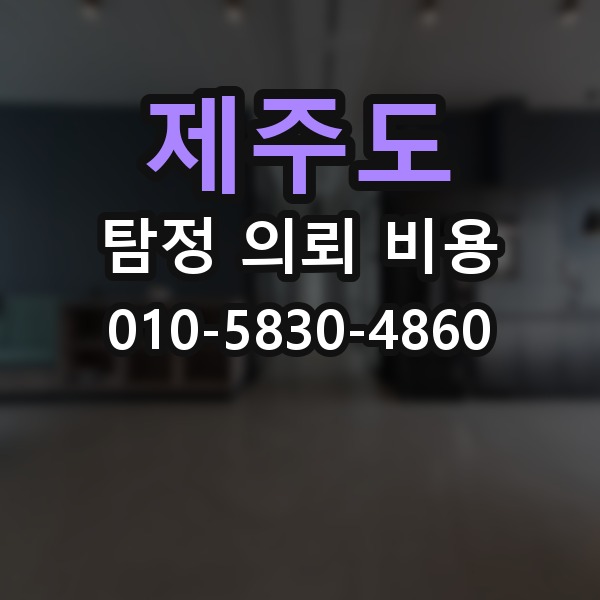 제주도 탐정 의뢰 비용 제대로 알아보는 방법